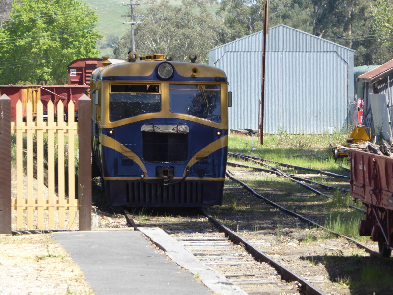 Arriving at Healesville station