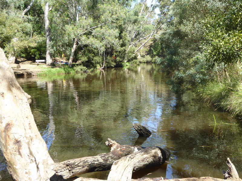 Vaughan Springs Swimming Hole – Vintage Victoria