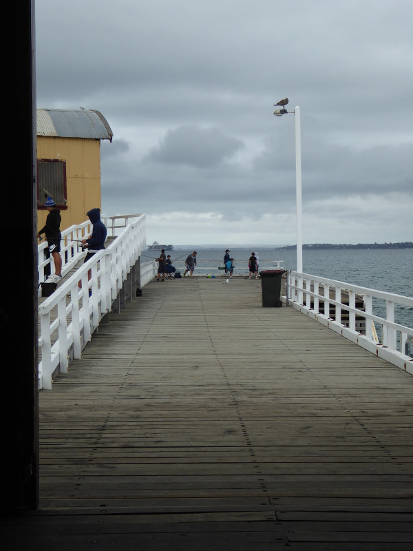 Fishing off the end of Queenscliff Pier